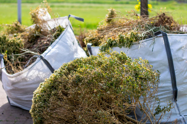 Best Office Junk Removal  in Kentland, IN